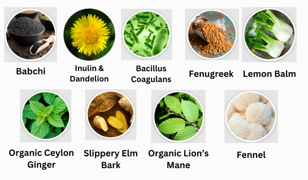 NeoTonics Ingredients