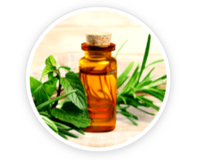 Tea Tree Oil